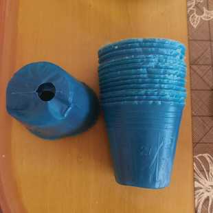 透气育苗杯落地式育苗盆大棚用蓝色育苗杯一次性营养杯移栽花盆