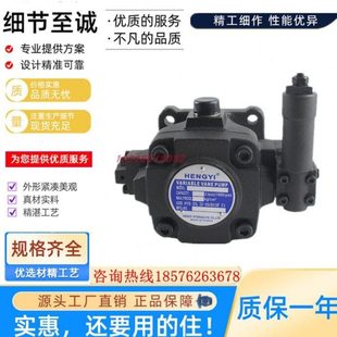 50S 变量叶片泵 VP5F 台湾 HENGYI