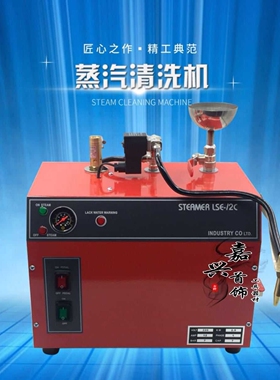蒸汽清洗机 高温蒸汽清洗机 高温喷气机 珠宝首饰清洁机 6L