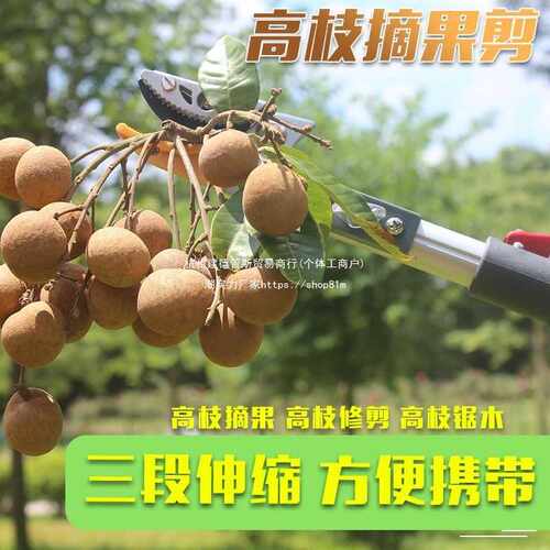 摘果器高枝剪果树树枝剪刀摘果剪高空加长伸缩摘果枇杷香椿剪