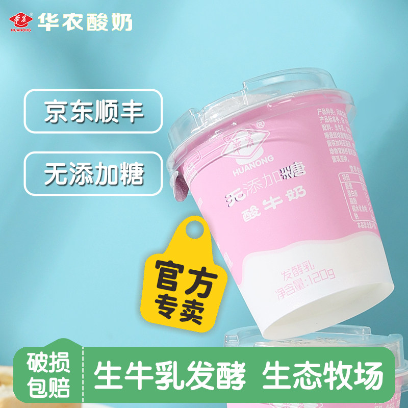 华农无添加糖酸奶益生菌酸奶