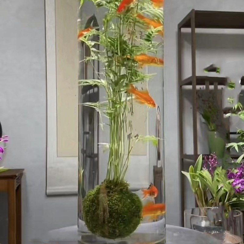 创意透明c亚克力圆柱形鱼缸客厅摆设大口径鱼缸容器支持定制加工,基础建材,亚克力型材,淘宝优惠券,粉丝福利购,淘宝优惠卷