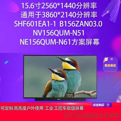 SHF601EA1-1 B156ZAN03.0 NV156QUM-N51 NE156QUM-N61方案屏幕