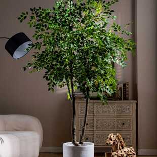 仿真榆钱树金钱榕假树高端轻奢绿植大型植物室内客厅落地装饰摆件