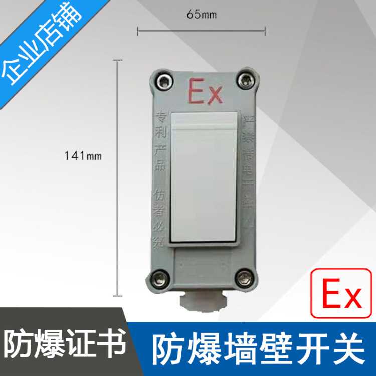 SWB-10A220V防爆照明开关BQM-10IS防爆墙壁开关一开单双控合格证