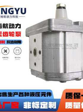 迪普马DUPLOMATIC齿轮泵GP2-011R95B GP1-0020R95 GP3-0427液压泵