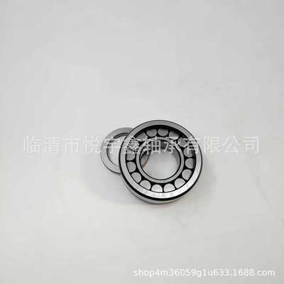 SI183028 SI183030 SL182204  SL182205 装满圆柱滚子轴承