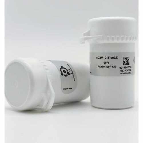 英国CITY进口 O2传感器 4OXV 4OX-V传感器 AAY80-390-CN现货