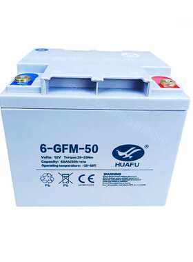 电动叉车小金刚6GFM50蓄电池托盘搬运车小精灵全自动液压车电池