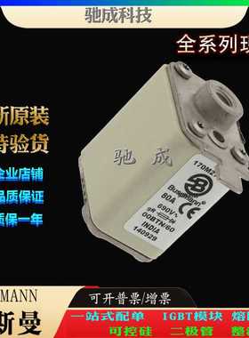 巴斯曼170M2762 170M2763 170M2764 经销 直销价优 低压熔断器