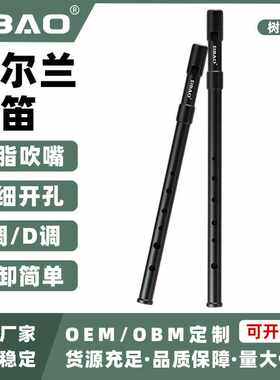 DBAO爱尔兰哨笛ABS树脂六孔竖笛C调D调初学者笛子入门热销音乐