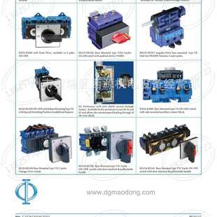 中字蓝系列开关 CH10 600 G252 A324 Kraus&Naimer