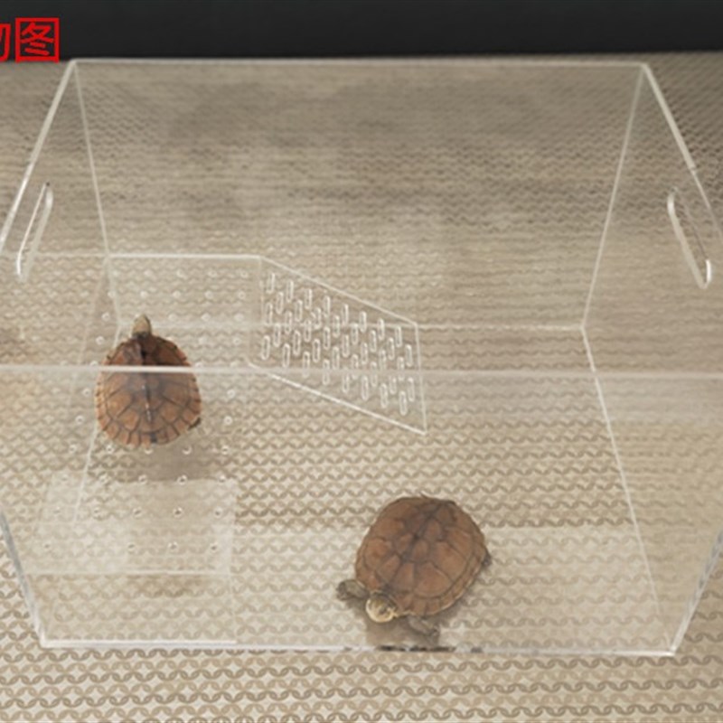 定制亚克力乌龟缸鱼缸超透明乌龟缸鱼缸桌面小鱼缸有机玻璃乌龟缸