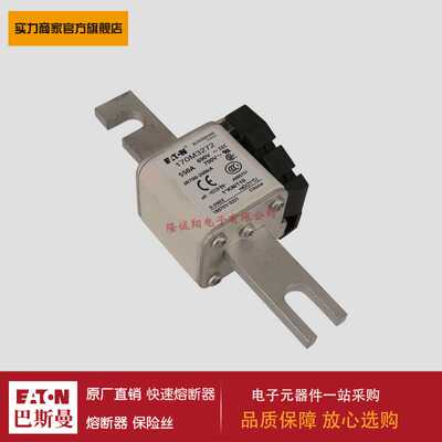 熔断器170M3271 170M3272 170M3273 170M4258 170M4259 170M4260