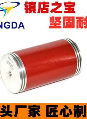 RIGWL 高压软启动器电阻 耐压电阻 均压电阻 100W 200K J 200KG