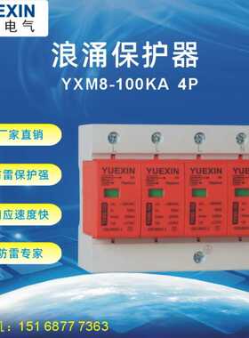 供应100KA浪涌保护器 避雷保护器开关雷电保护电涌保护器