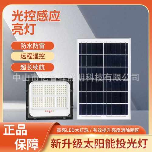 太阳能投光灯2025年庭院户外路灯家用感应室外防水照明led灯花形