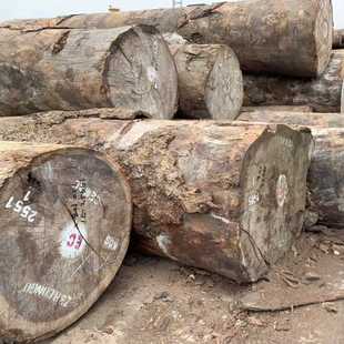 进口非洲可西浦原木 沙比利 高档可西浦板材工程原木料 规格