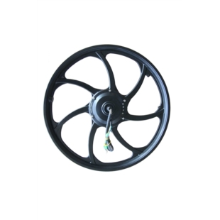 750 20寸750W镁合金一体轮电机 骐航QH