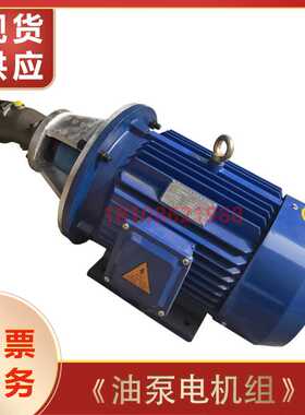 液压油泵电机组VP20+4KW/5.5KW液压泵总成内轴电机液压站配件系统