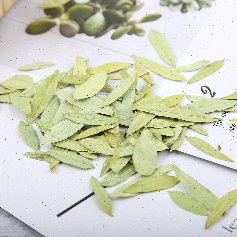 北京同仁堂官方正品天然番泻叶茶包通便暴瘦刮油茶