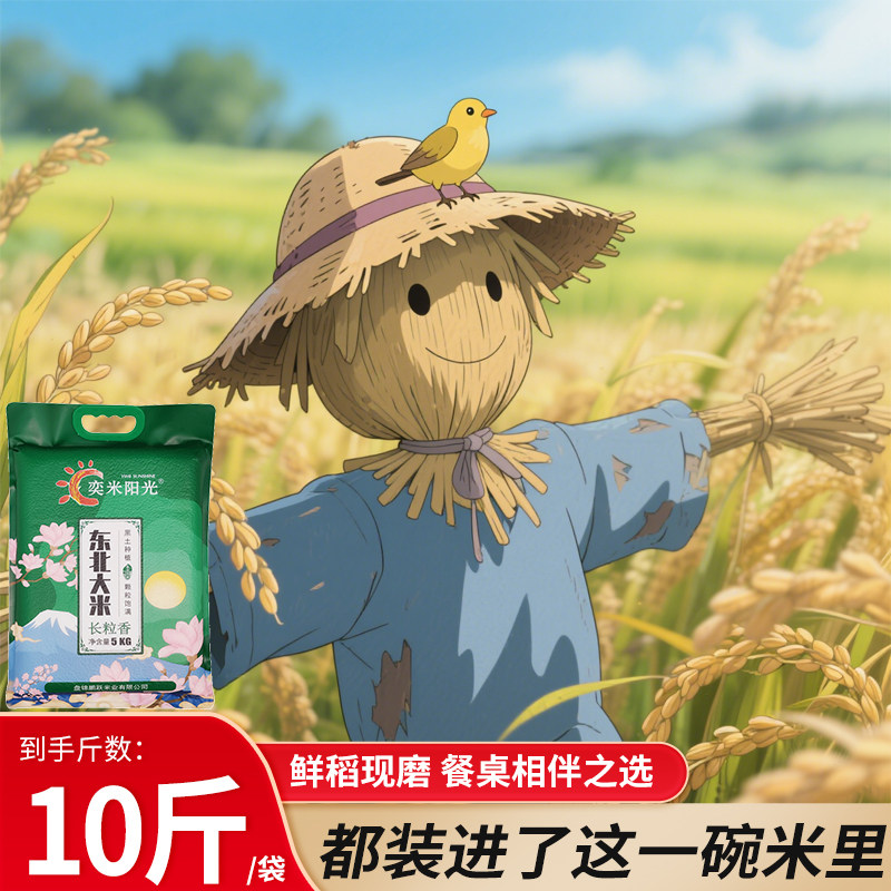 ��������1��װ �������ⶫ������2024�굱������10�ﳤ���������Ŵ����