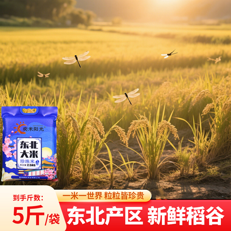 【奕米阳光】2025年新日期真空锁鲜东北大米2.5kg圆粒珍珠米5斤装