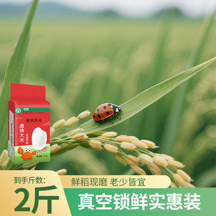 奕米阳光2025年新米东北盘锦大米1kg真空装 粳米老少皆宜颗粒饱满