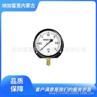 压力计 B12 B10 NKS长野计器 B15 BE17