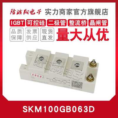 SKM50GB 75 100 145 150 195 200 300 400 600GB063/066DIGBT模块
