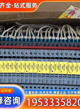 {议价}德国科尼克Knick隔离放大器 B10000F0