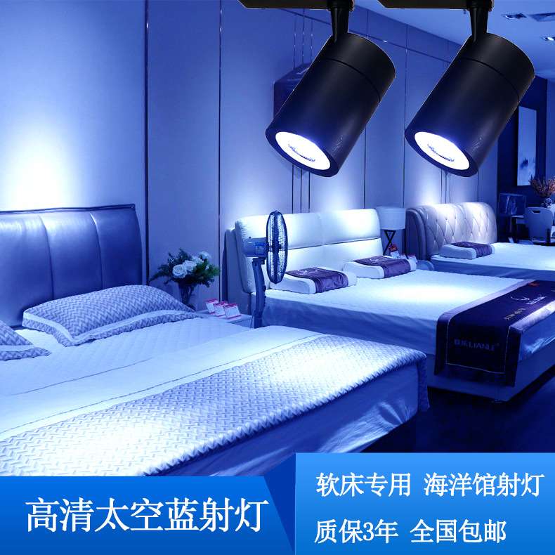 led吸顶射灯光软床专用灯展厅海洋主题酒店鱼缸高清蓝光30W轨道灯