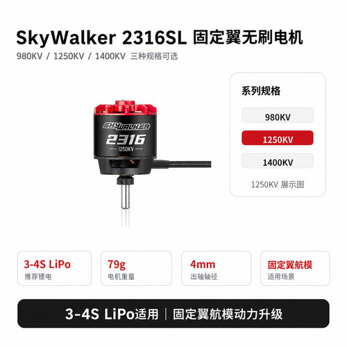 HobbywingSkyWalker231