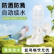 鹦鹉饮水器自动喝水壶虎皮玄凤喂食器下料器鸟食盒挂式 鸟用喂水器