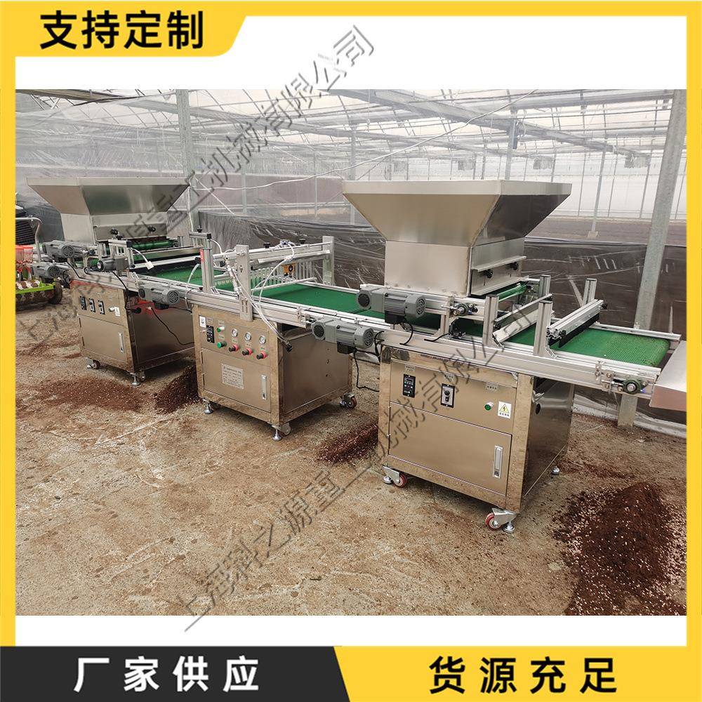 铺土压穴播种一体机全自动穴盘育苗播种机农业用种子穴盘育苗机