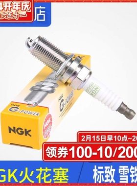 NGK适配标致307雪铁龙C5世嘉308标志408爱丽舍206汽车火花塞856GP