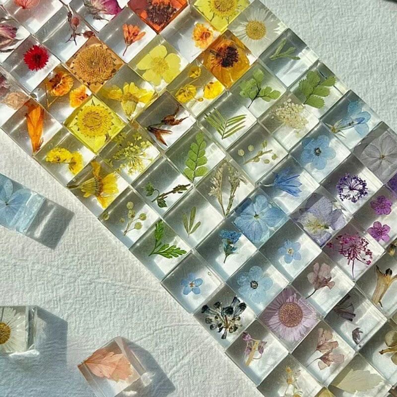 ins植物方块成品桌面摆件礼物