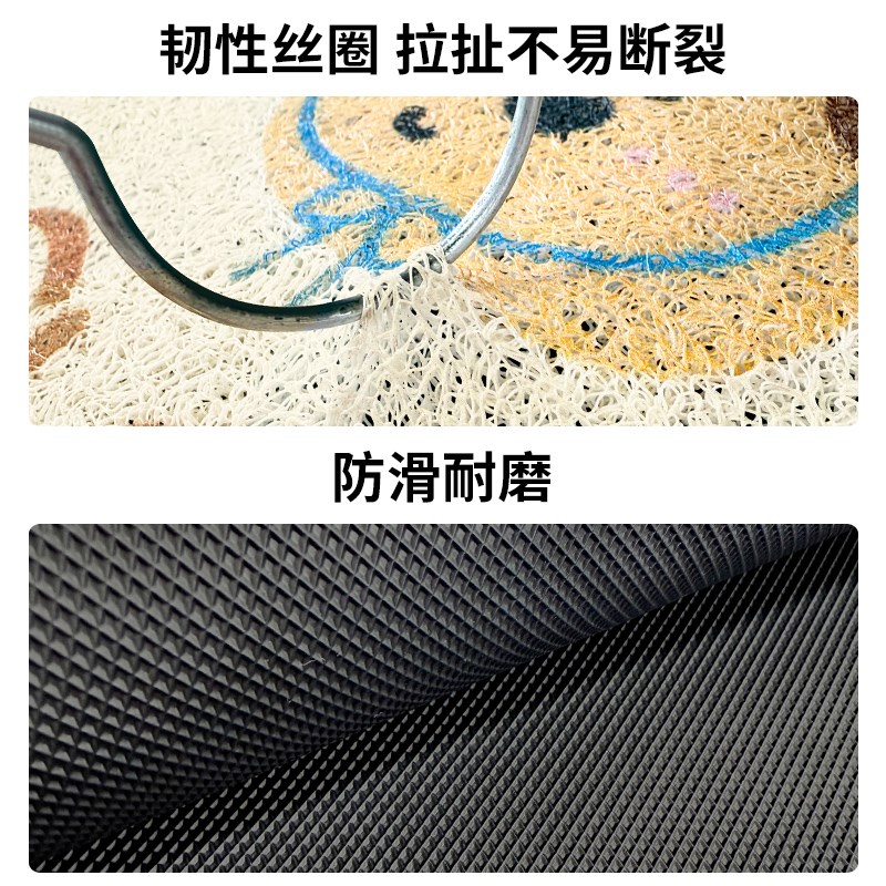 入户门口进门f地垫丝圈家用耐脏免洗防滑垫门垫地毯玄关门前脚踏
