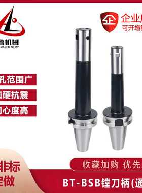 90度BSB粗镗刀横插刀杆式可调刀柄BT40 50-BSB25 30 42 50 72 90