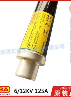 SIBA 6/12KV高压熔断器D-44534 3001213 63A 80A 100A 125A 160A*