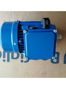 WAMGROUP电机 WAMGROUP马达  WMA系列MV0800B04 0.75KW