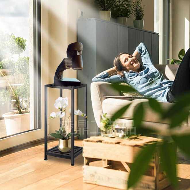 铁艺室内外植物支架室装饰花架置物架适用于庭院花园客厅