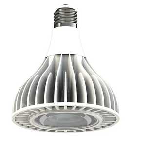 20W 25W LED 40W超大功率 30W 压铸铝外壳 PAR