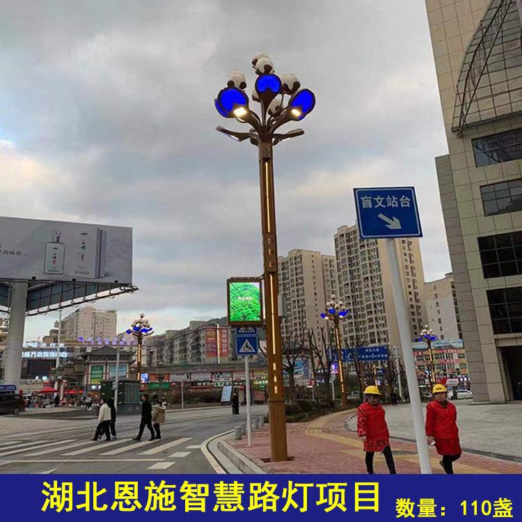 景观灯智慧路灯厂家直销高杆灯户外亮化照明庭院灯八叉九火玉兰灯