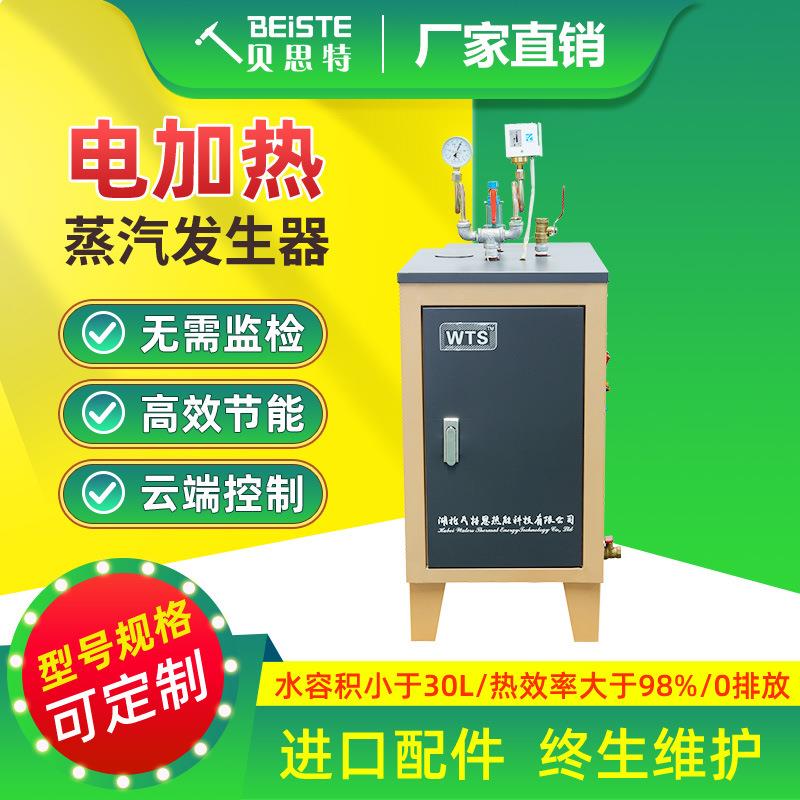 蒸汽发生器厂家直销服装整烫食品厂化工厂用防爆电加热全自动化