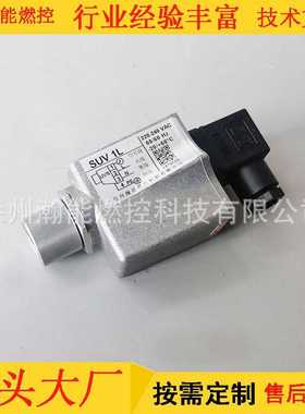 火焰检测器;型号规格UVS 2 AC200V