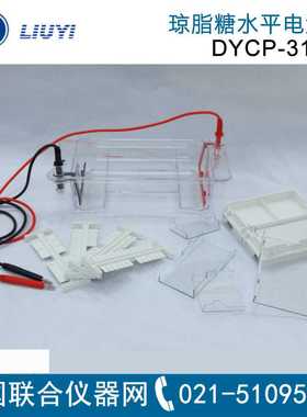 DYCP-31系列琼脂糖水平电泳仪北京六一电泳槽