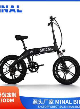 外贸出口MINAL电动自行车FTC600 48V350W10.5A 07