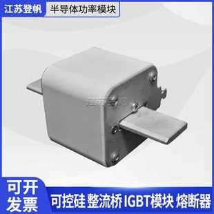 170M2620伊顿巴斯曼熔断器保险丝 170M5410 170M8650 170M4956