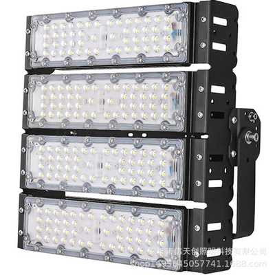 30W50W60W90W100W120W150W200W250瓦300WLED隧道灯模组户外高杆灯